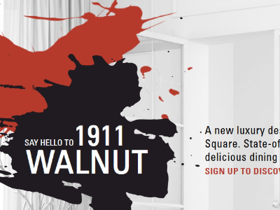 1911 Walnut Creek high-end luxury real estate website